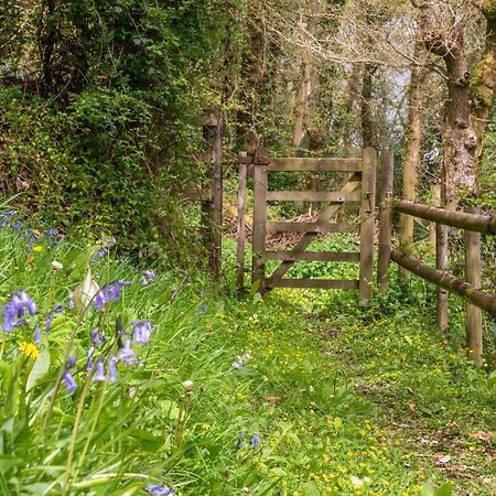 Nutsford House Bed and Breakfast Dulverton Εξωτερικό φωτογραφία