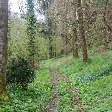 Nutsford House Bed and Breakfast Dulverton Εξωτερικό φωτογραφία