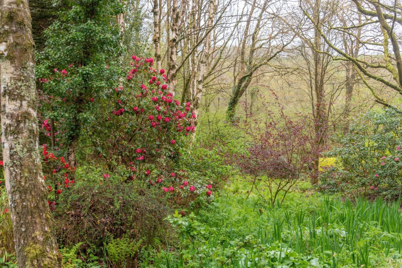 Nutsford House Bed and Breakfast Dulverton Εξωτερικό φωτογραφία