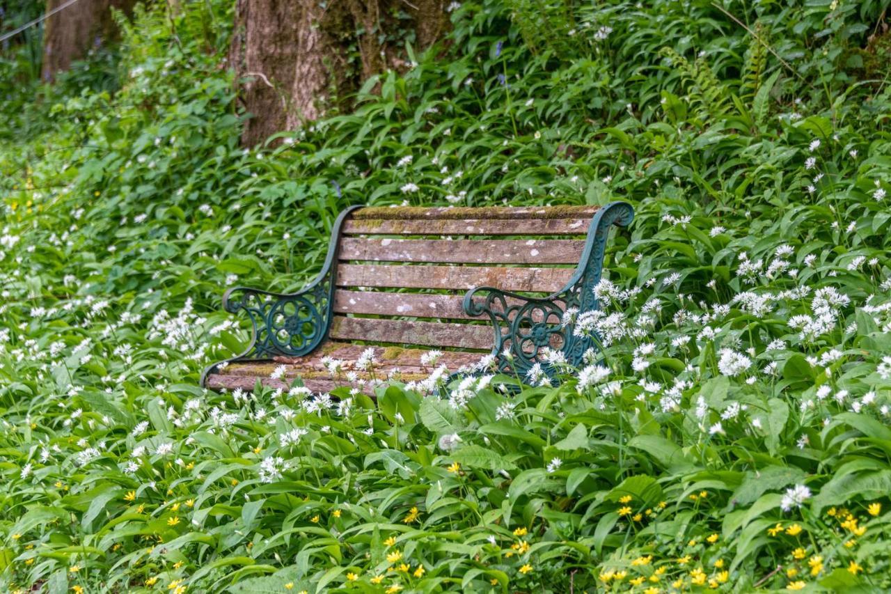 Nutsford House Bed and Breakfast Dulverton Εξωτερικό φωτογραφία