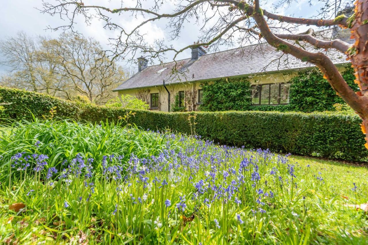 Nutsford House Bed and Breakfast Dulverton Εξωτερικό φωτογραφία