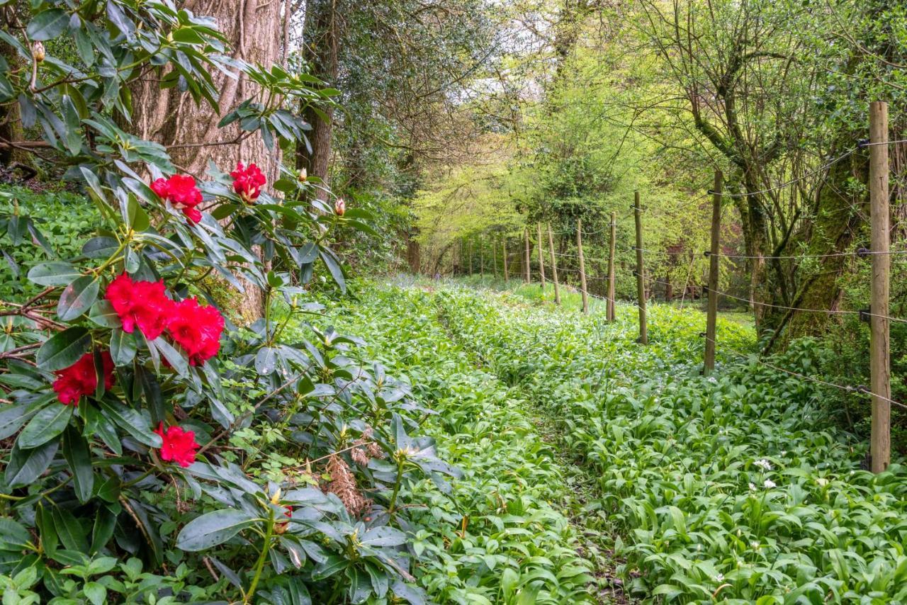Nutsford House Bed and Breakfast Dulverton Εξωτερικό φωτογραφία